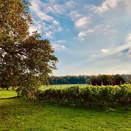 Et Vignoble Le Nogal - Pays De Chimay *